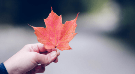 What Is the New England Tuition Break?