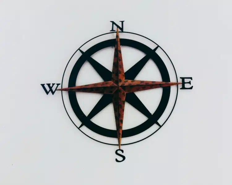 honey-yanibel-minaya-cruz-576182-unsplash