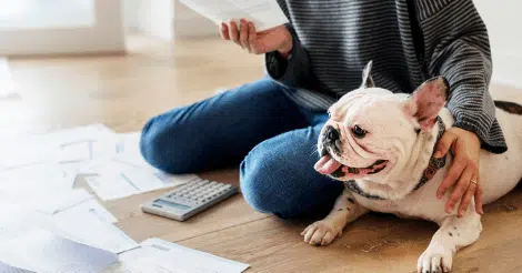 College Tax Guide (2019): What You Need to Know about Scholarships, Tuition, and Loans