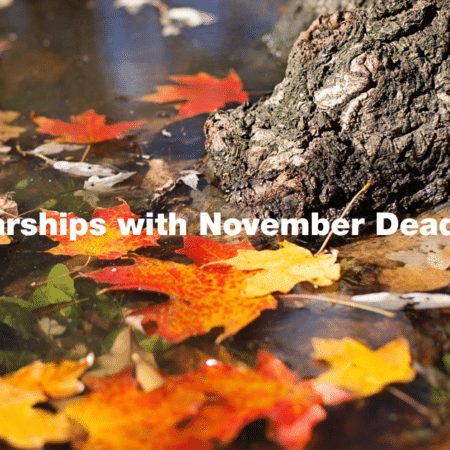 Scholarships with November Deadlines
