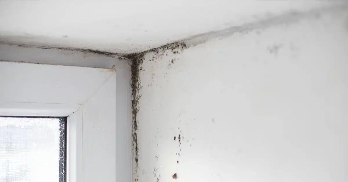 Mold Bathroom Ceiling Health Hazard Shelly Lighting