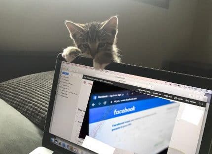 How to Clean Up Your Social Media for College