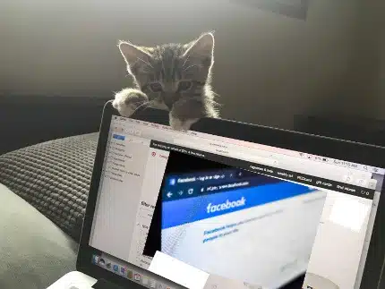 How to Clean Up Your Social Media for College