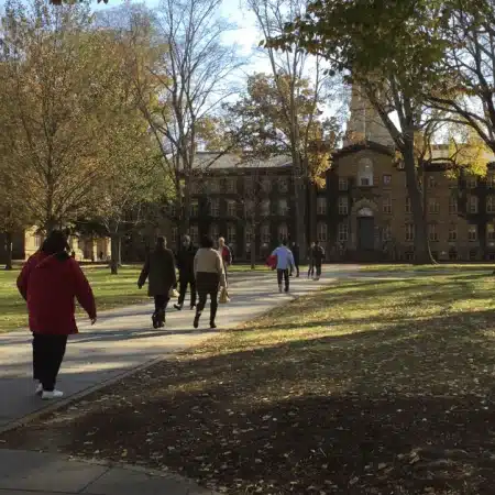 Colleges Are Considering These Options for Fall 2020