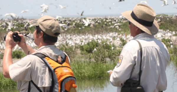 Extracurricular Activities: What They Are and How to Find Them