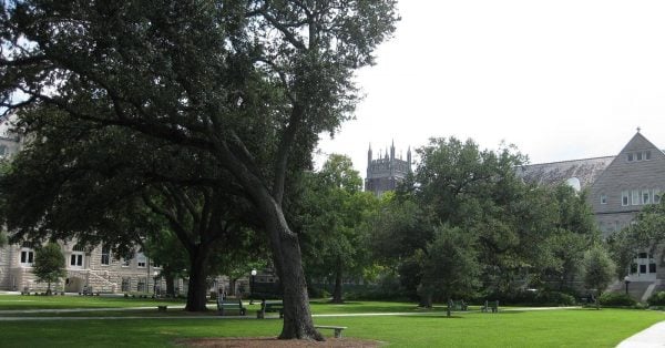 Tulane Merit Scholarships