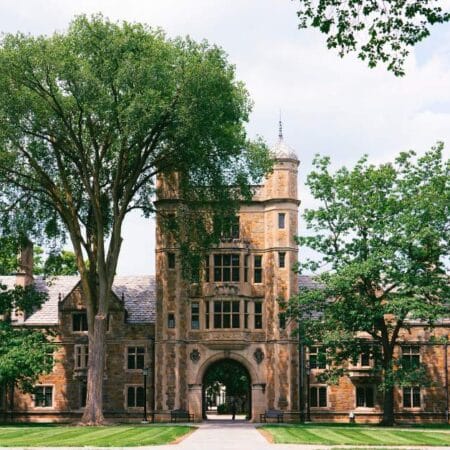 Comparing the Public Ivies: Is One Right for You?