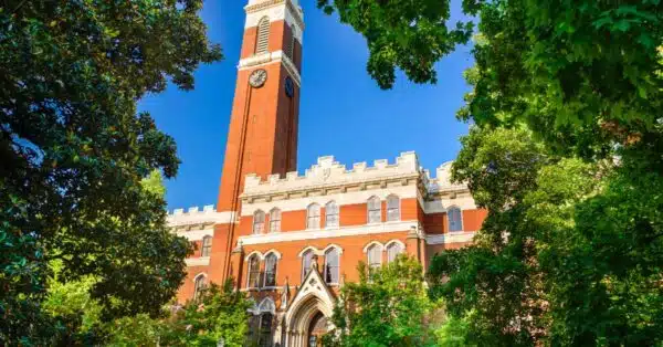 The Southern Ivies: Explore the Best Colleges of the South